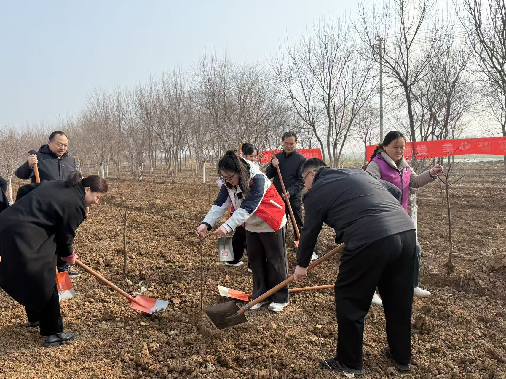 1773297228686698.jpg 3.jpg